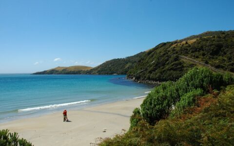 Person walking along the white sand beach next to the turquoise ocean water and the green cliffs on a shore excursion in New Zealand.
