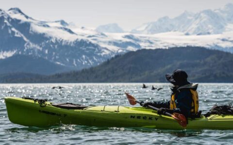 Guest Kayak in Glacier Bay