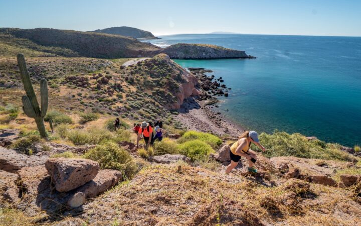 A group of hikers make their way to the top of a hillside overlooking the deep blue peninsula coastline of Baja's Sea of Cortez below.
