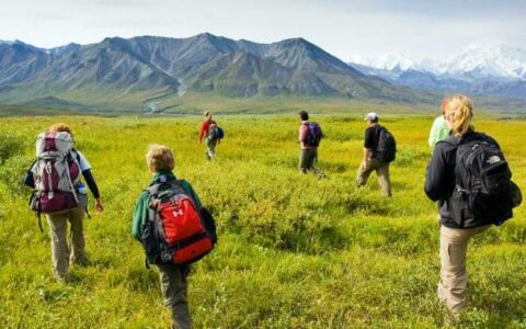 seven hikers trek across field on camp denali adventure in alaska