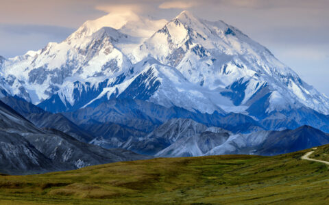 Mount Denali with various snow-covered peaks & blue lower elevations sits beside large green grass meadow with road beside it.