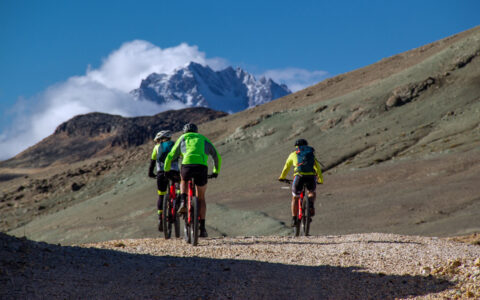 3 Explora Patagonia National Park travelers in bright green & yellow jackets ride mountain bikes uphill on a gravel road.