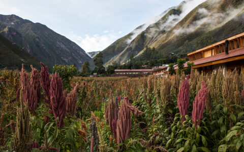 Rectangular Explora Sacred Valley Lodge in earth tones beside tall peaks & corn fields with purple flowers.