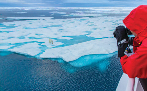 A guest photographs a Polar Bear walking on pack Ice from the ship National Geographic Explorer in Baffin Island, Baffin Bay, Nunavut, Canada