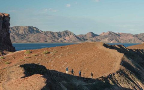 4 hikers walk a sandy, red-rock ridgeline with a bay in the distance on a sunny day on a Northern Gulf of California cruise.
