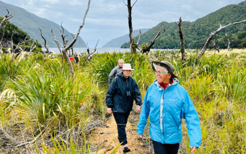 Women in black, blue & gray coats & hats walk a trail in from the sea among tall green bushes on a New Zealand small cruise.