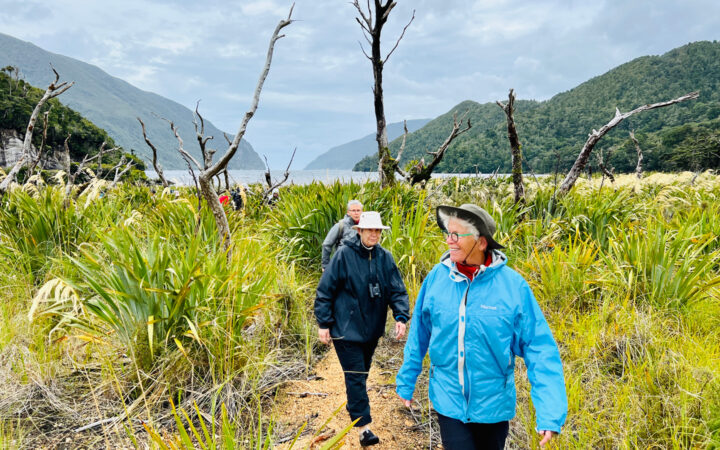 Women in black, blue & gray coats & hats walk a trail in from the sea among tall green bushes on a New Zealand small cruise.