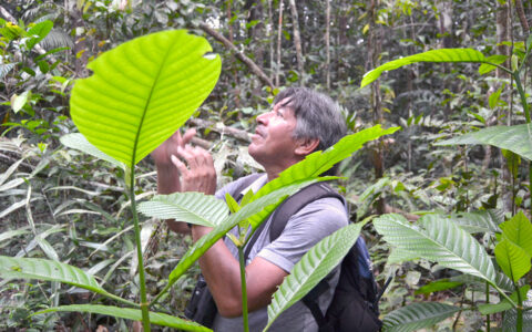 Voyage to the Heart of the Amazon photo 3