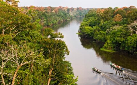 Aerial view of two canoes going down a calm river through the jungle in brazil