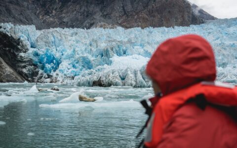 Alaska traveler in bright red jacket looks at seals swimming beside a large blue glacier during the Wild & Wooly Alaska Cruise.