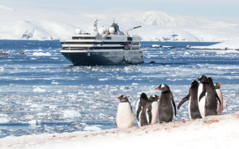 World Explorer small expedition ship with dark hull & white upper decks sits in icy waters offshore of black & white gentoo penguins.