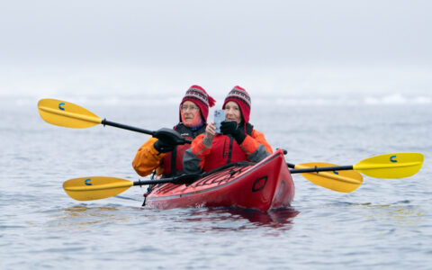 Woman & man tandem kayakers in red boat with yellow paddles pause to photograph the Antarctic icescape in calm water.