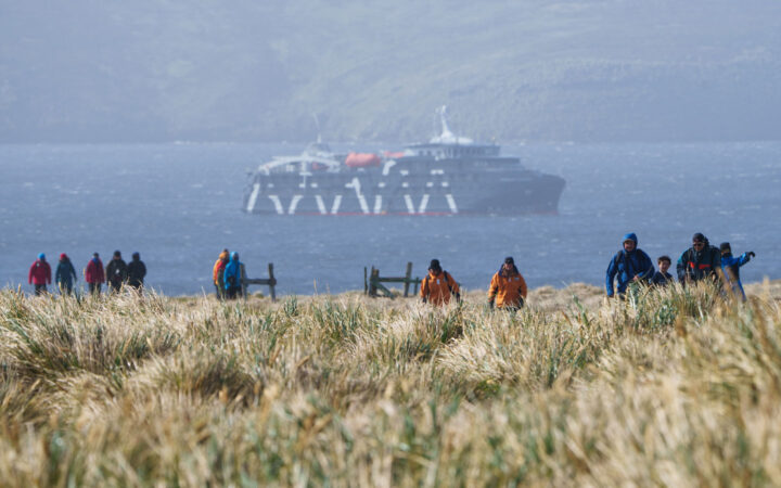 Antarctica & South Georgia Air Cruise travelers walk amongst tall grasses as modern expedition ship sits offshore.