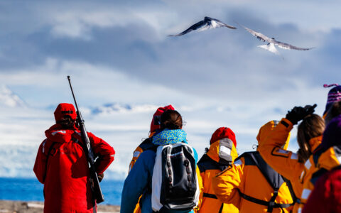 Spitsbergen travelers in yellow jackets follow a guide with a shotgun in a red jacket, looking up at birds with icefields beyond.