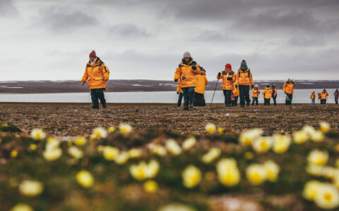 Arctic travelers in yellow jackets walk over tundra with small yellow flowers on a cloudy day on the Intro to Spitsbergen.