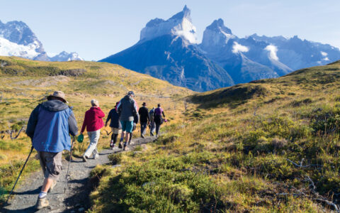 Small group of Patagonia & Chilean Fjords Cruise travelers walks a stone path among green tundra, toward tall mountains.
