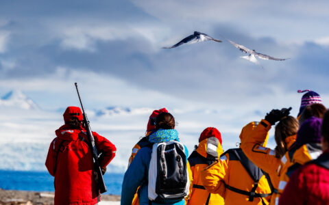 Travelers watch seabirds along the shore during a Svalbard small ship cruise.