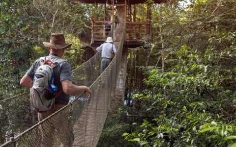 Two people walking across a suspension bridge to a hut across the canopy in the Pervuian Amazon rainforest