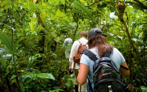 People walking in dense Amazon jungle