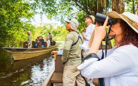 adventure travelers take pictures into the amazonian jungle canopy from small boats