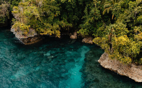 Teal water with colorful reef lines a bright green, forested shoreline, seen on an Aqua Blu Ambon & Spice Islands cruise.