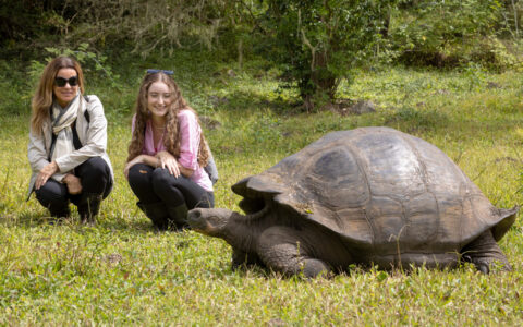 While cruising the Galapagos isles on the Aqua Mare Galapagos Cruise you will visit the highlands and see the giant tortoises