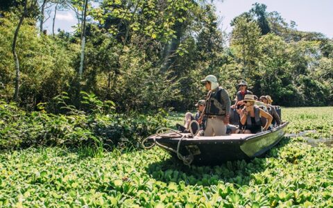 Open-air aluminum boat with 10 travelers & 1 guide floats through dense aquatic foliage beside the jungle forest in the Amazon.