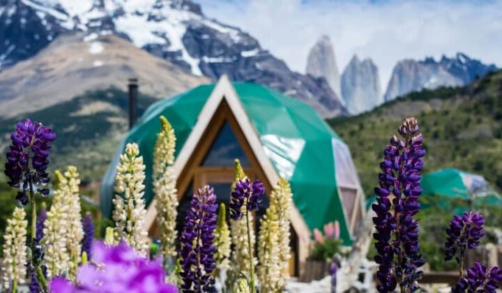 A dome at EcoCamp in Patagonia, Chile, with lupine flowers in the foreground and snow-covered mountains in the background