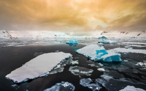group of icebergs atop a dark antarctic ocean with a yellow cloudy sky above