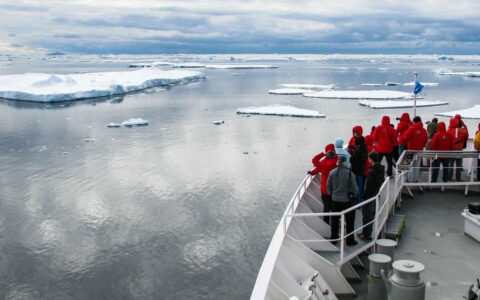 A group of people stand on board the ship for the national geographic white continent voyage to look at icebergs in the ocean in antarctica