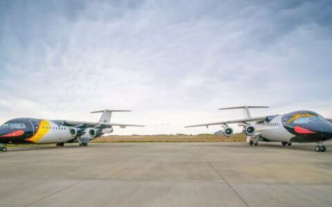 2 small jets painted like king penguins in white, black, orange & yellow sit on concrete tarmac under cloudy skies.