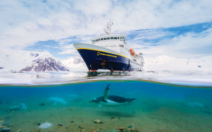 A Gentoo Penguin swims near the NG explorer at Neko Harbor, Antarctic Peninsula.