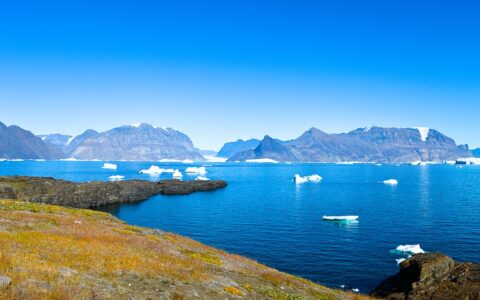 A bright blue sky day in Greenland, down one of its many fjords of blue ocean, white floating icebergs and lush colorful coastline