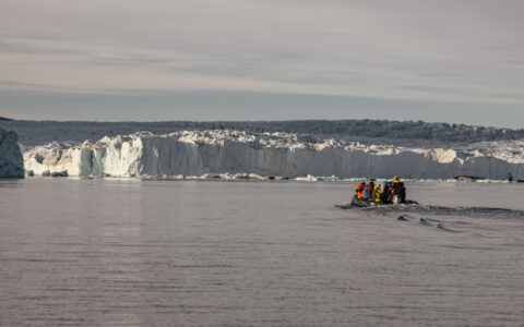 Zodiac with Complete East Greenland cruise guests motors toward a big white glacier under a hazy sky in the Arctic.