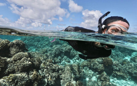 Woman in black rash guard snorkels over bright coral in turquoise water on a sunny day during an Easter Island to Tahiti cruise.