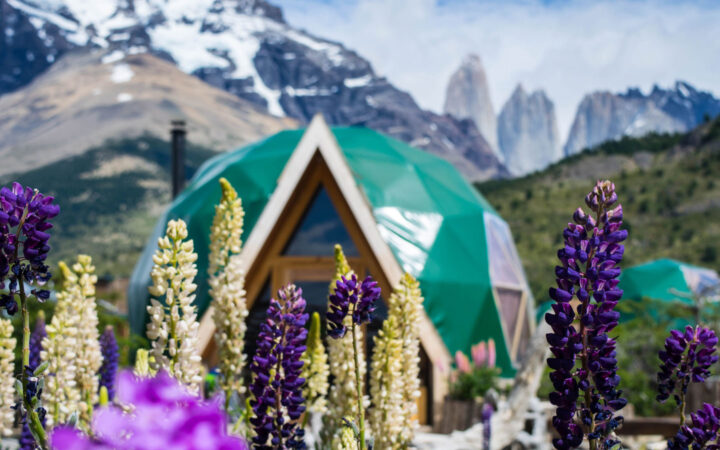 green dome of EcoCamp Patagonia with purple lupine in foreground and towering peaks of the Towers Base in the background.