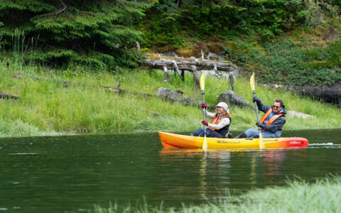 two Kayakers paddling through the narrow water ways of thomas bay off the green shores of Alaska