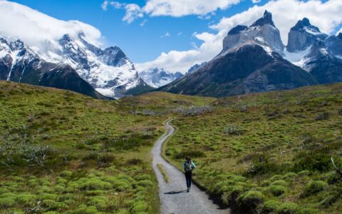 Traveler walks down an empty gravel road with bright green grassy fields on either side, heading toward massive snow-covered peaks.
