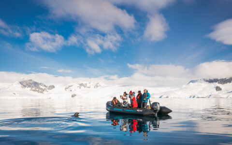 Zodiac boat with Polar Circle Cruise Antarctica travelers sits in glassy water as seal pokes its head up on a sunny day.
