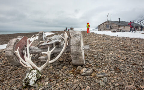 Realm of the Polar Bear cruise guests walk by trappers' remains including a wooden hut, a cart with wood wheels & a reindeer skull.