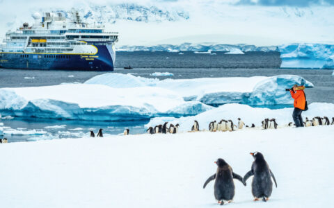 Two penguins walking toward the national geographic resolution with a photographer dressed in an orange jacket off in the distance