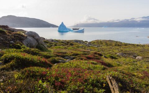 Green tundra with red flowers in foreground, calm ocean with small ship beside large iceberg in background on a sunny day.