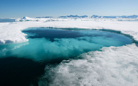 Icy arctic water with turquoise ice below seen on a sunny day during cruises to Iceland and Greenland.