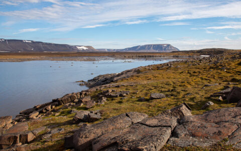 Inlet with glassy water, mossy rocks & blue sky, seen on the South Spitsbergen Explorer cruise in the Arctic.