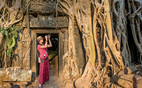 a large tree's roots overtake the ruins at ankor wat, a world heritage site in cambodia in Southeast Asia
