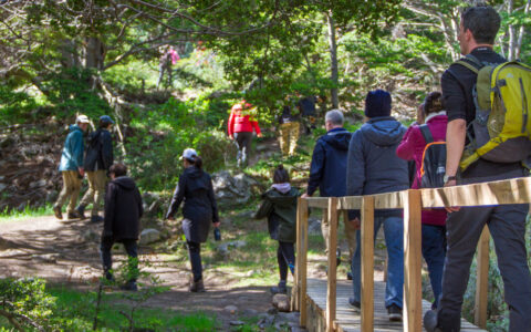 While on the Patagonia Explorer from Ushuaia to Punta Arenas you will have the opportunity to see the wild open spaces hiking