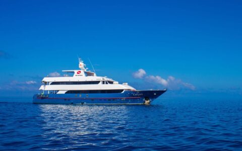 Aerial view of Calipso yacht in Galapagos with dark blue hull & white upper decks, cruising through calm blue water on a sunny day.