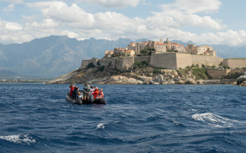 Zodiac of Corsica cruise guests motors in blue sea toward walled medieval city with beige bricks & terra cotta roofs in sun.