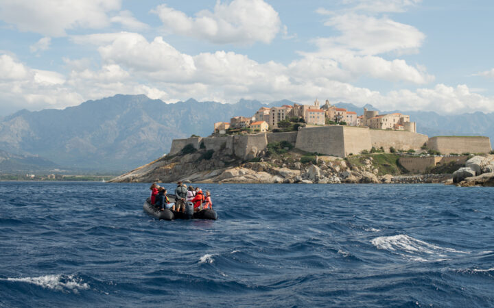 Zodiac of Corsica cruise guests motors in blue sea toward walled medieval city with beige bricks & terra cotta roofs in sun.