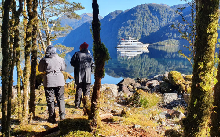 Travelers on a fiordland cruise overnight stand in lush green forest looking on to a small white yacht on a sunny day in New Zealand.